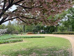 -玄武湖景区-情侣园游乐场