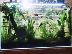 -懒鱼时光馆(沙坪坝店)