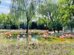 -石家庄市动物园