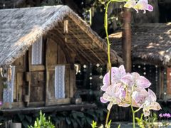 -海南槟榔谷黎苗文化旅游区