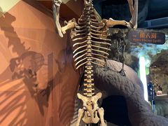 -正佳自然科学博物馆