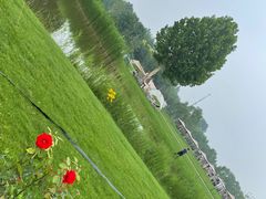 -安德鲁户外烧烤帐篷营地(马泉营店)