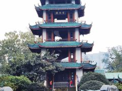 -桂湖森林公园