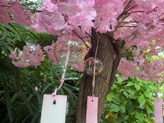 -嘉和K6温泉微度假