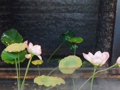 -沅江水·湖南家宴(南村万博长隆商圈店)