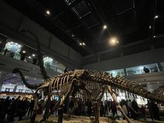 -自贡恐龙博物馆