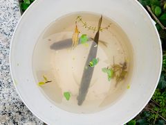 -兰溪青年公园