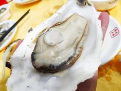 -蚝专家(北滘店)