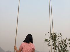 -大树秋千