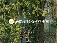 -都江堰中华大熊猫苑