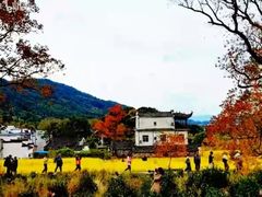 -塔川景区