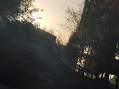 -西安曲江寒窑遗址公园