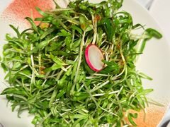 -凤凰湘语(浦东旗舰店)