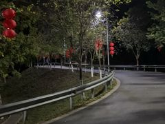 -火炉山森林公园