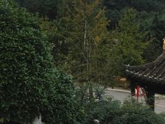 -楠柏弯休闲山庄(梨花溪店)