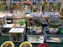 -天虹购物中心(石路店)