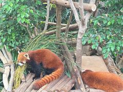 -香港海洋公园
