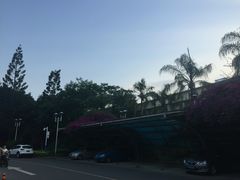 -福建省奥林匹克体育中心-体育馆