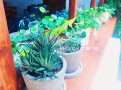 -铃木食堂(帽儿胡同店)