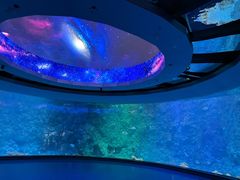 -海合安青岛极地海洋公园
