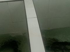 -贡椒鱼老店·雅安十大名店