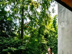 -青城山