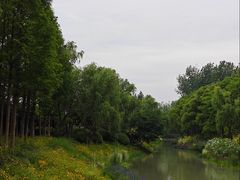 -贡湖湾湿地公园