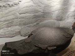 -白鹤梁水下博物馆