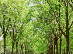 -广富林郊野公园