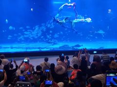 -烟台海昌鲸鲨海洋公园