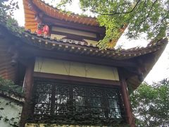 -富乐山