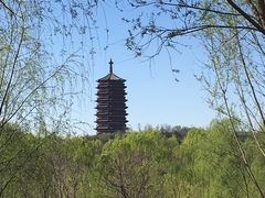 -永定河休闲森林公园