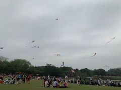 -东莞植物园