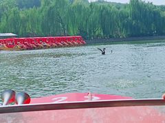 -南翠屏公园