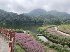 -广州市石门国家森林公园
