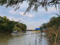 -上海吴淞炮台湾国家湿地公园