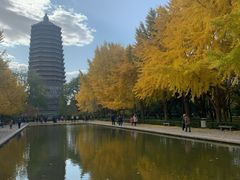 -玲珑塔公园