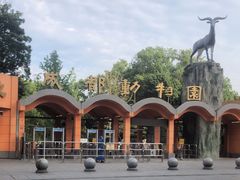 -成都动物园