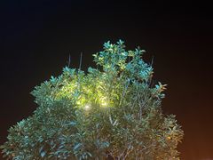 -雅达·阳羡溪山小镇中心