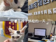 -瑞鹏宠物医院·眼科·皮肤·中兽医(大悦城分院)