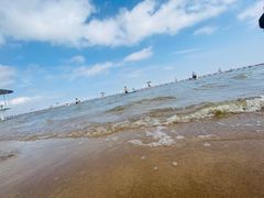 -碧海金沙