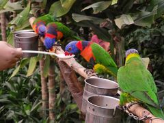 -南宫五洲植物乐园