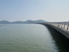 -野狸岛