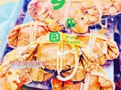 -乡乐园蟹庄·阳澄湖农家乐