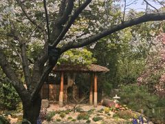 -上海植物园·停车场