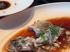 -瓷忆·瓷文化餐厅(上海店)