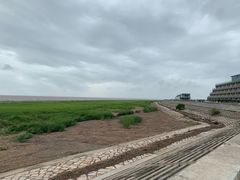 -南汇嘴观海公园