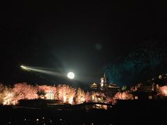 -禅宗少林·音乐大典