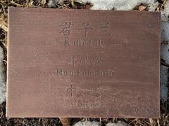 -长春世界雕塑园冰雪艺术天地