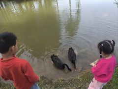 -森波拉奇妙世界